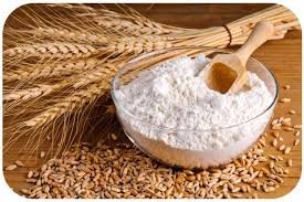 Organic Wheat Flour